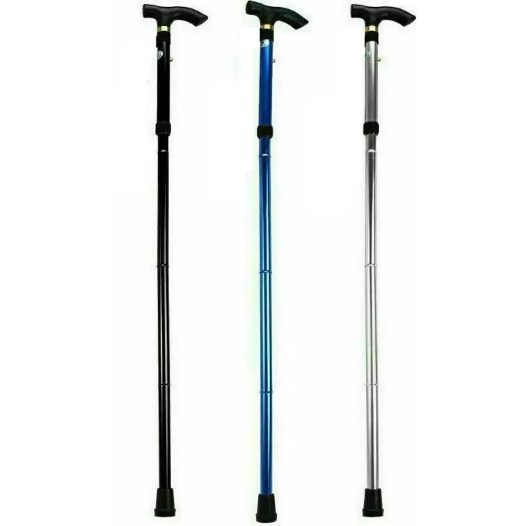 WALKING STICK PLAIN